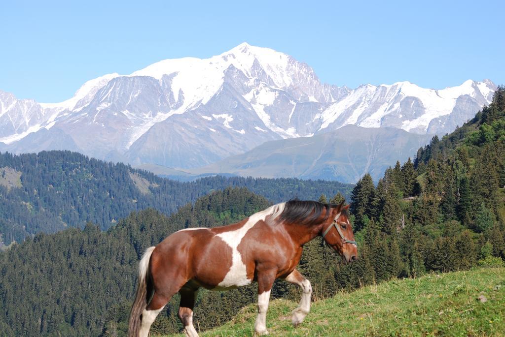 Chalet Mon Idole Flumet Esterno foto