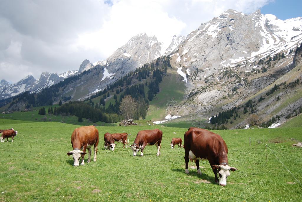Chalet Mon Idole Flumet Esterno foto